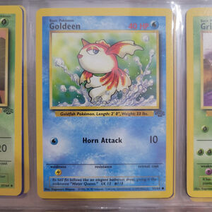 Pokemon Card Goldeen 37/64